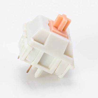 Holy Panda Tactile Switches (55g / 62g / 67g, 5-Pin)