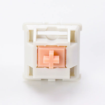 Holy Panda Tactile Switches (55g / 62g / 67g, 5-Pin)