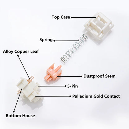 Holy Panda Tactile Switches (55g / 62g / 67g, 5-Pin)
